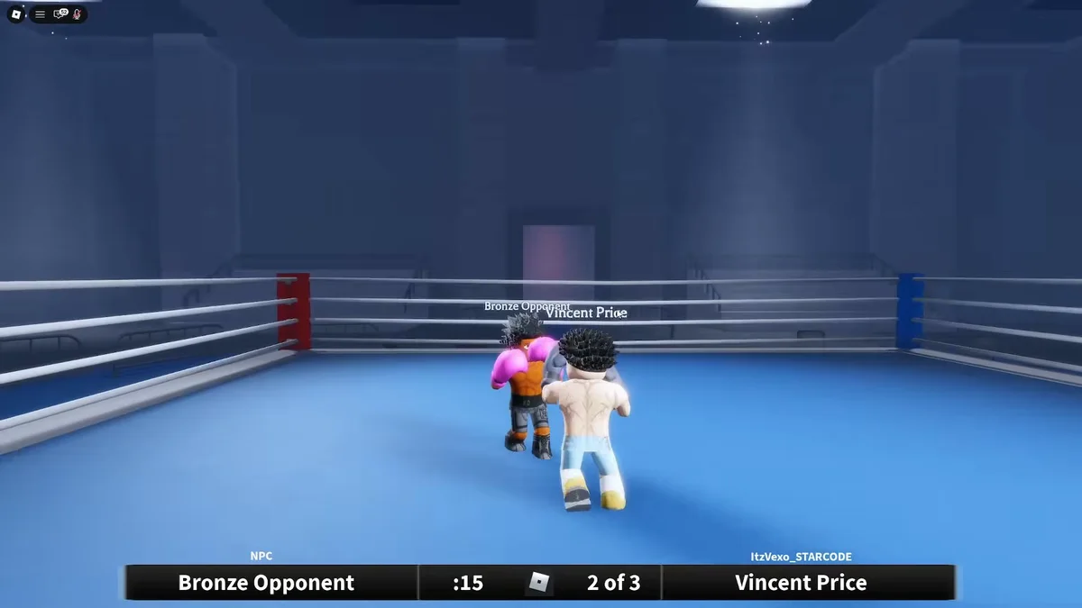 A Coach a Fighter bout in progress in the ring